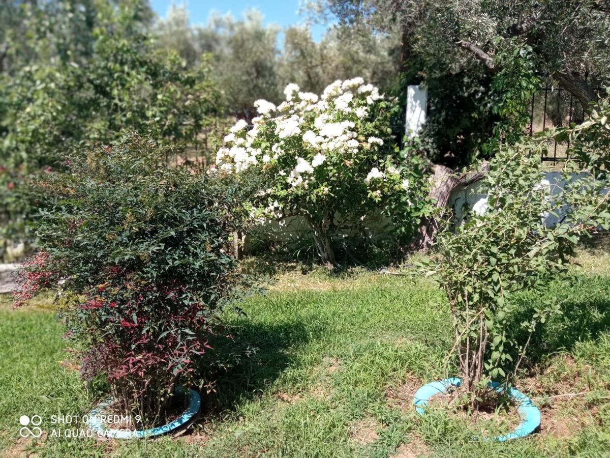 Appartamento Bella-Caza Nea Nea Makri Esterno foto