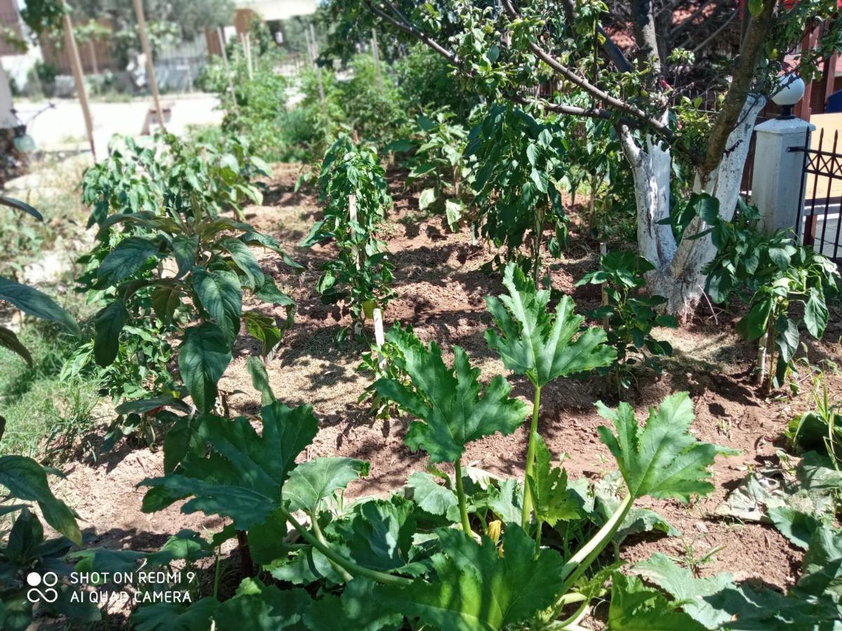 Appartamento Bella-Caza Nea Nea Makri Esterno foto