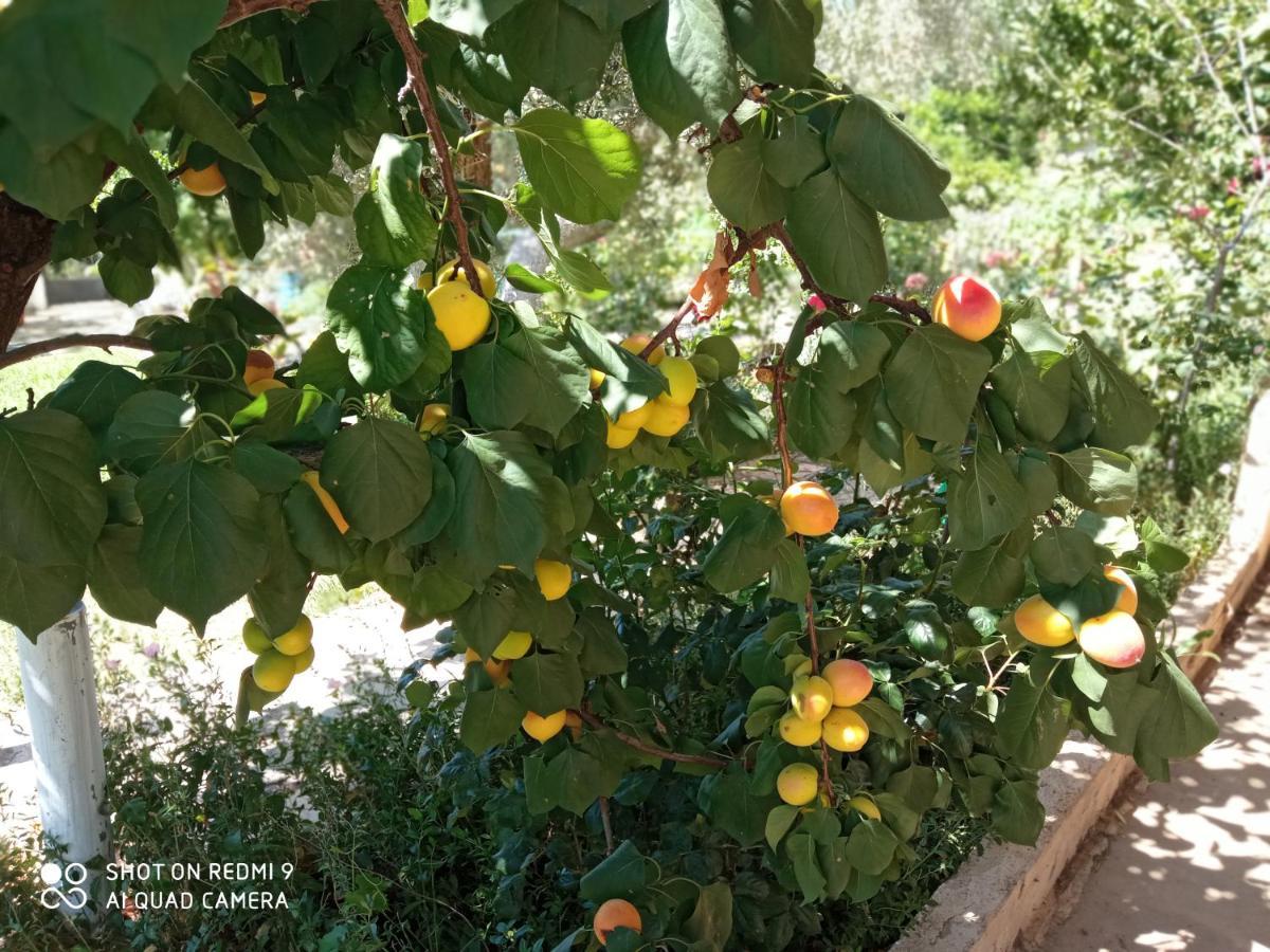 Appartamento Bella-Caza Nea Nea Makri Esterno foto