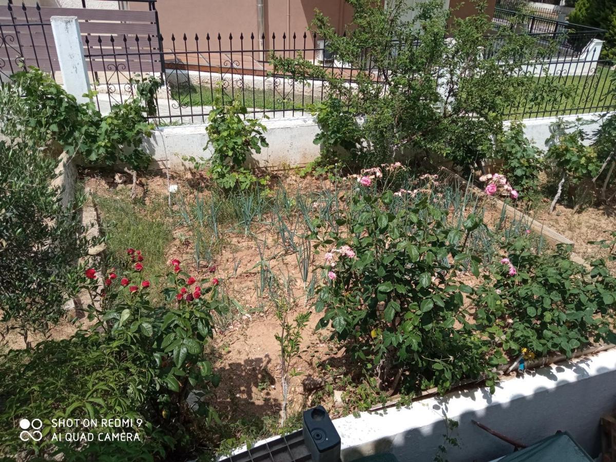Appartamento Bella-Caza Nea Nea Makri Esterno foto