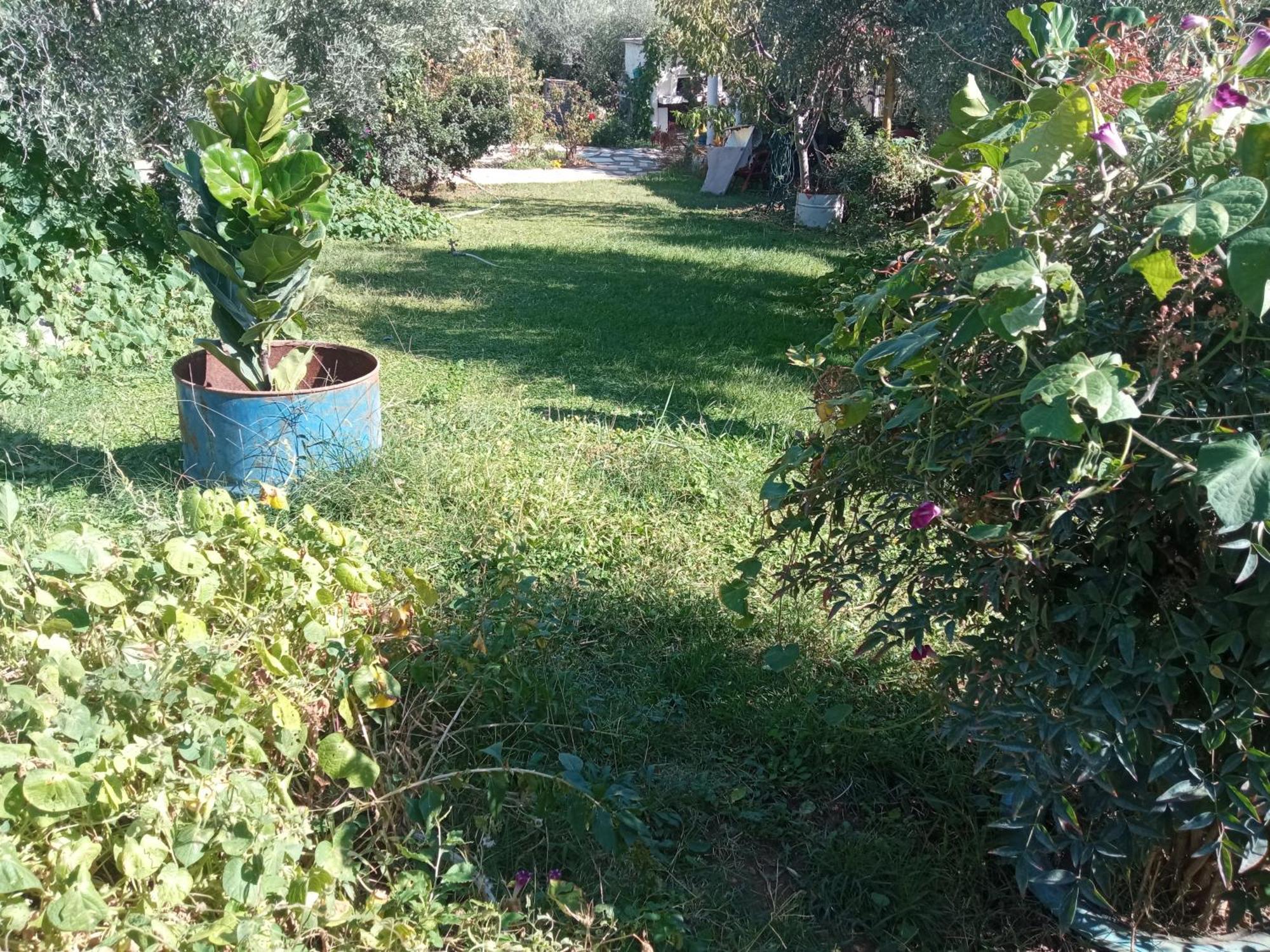 Appartamento Bella-Caza Nea Nea Makri Esterno foto
